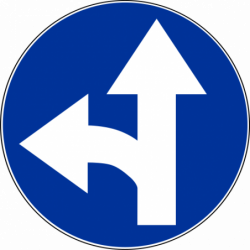 Znak C-7 Nakaz jazdy prosto lub w lewo